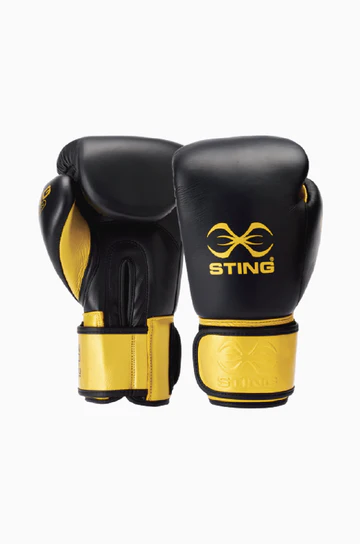 Evolution Boxing Gloves